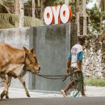 How to Start a Farm in Oyo State and Top Agri-Tech Startups in Nigeria